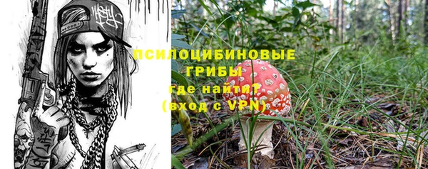 твердый Горнозаводск