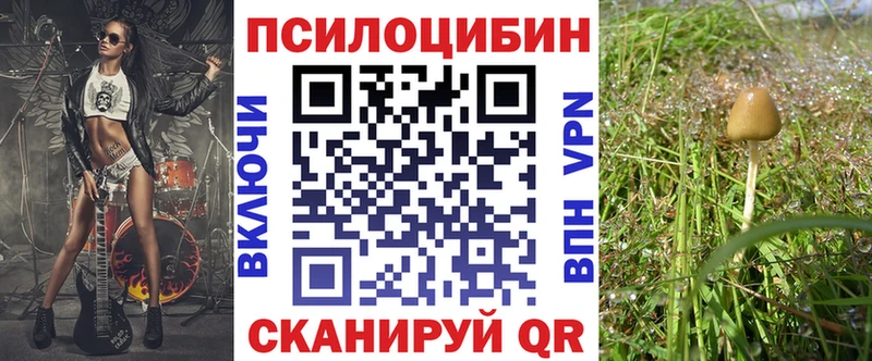 Купить Никольское Псилоцибиновые грибы GOLDEN TEACHER
